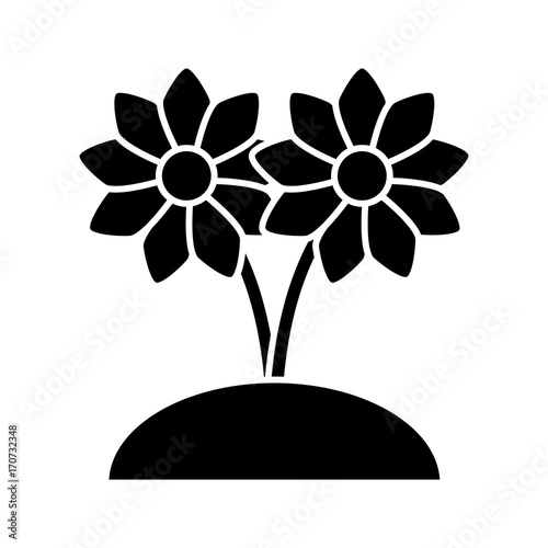 Beautiful planted flowers icon vector illustration graphic design