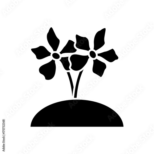 Beautiful planted flowers icon vector illustration graphic design