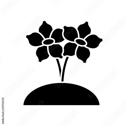 Beautiful planted flowers icon vector illustration graphic design