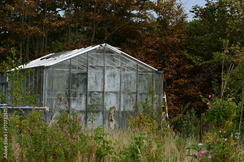 Abandoned green house