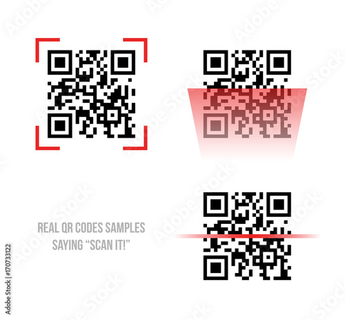 Vector illustration of Qr code samples. Scanned Qr codes reads Scan it 