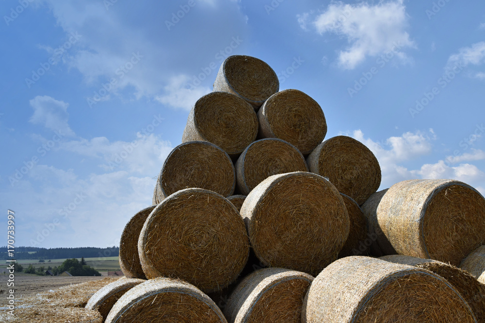 Round bales of straw straightened to a pile. Background of the sky Round bales of straw straightened to a pile. Background of the sky