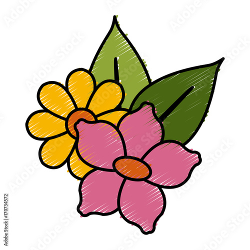 Beautiful decorative flowers icon vector illustration graphic design photo