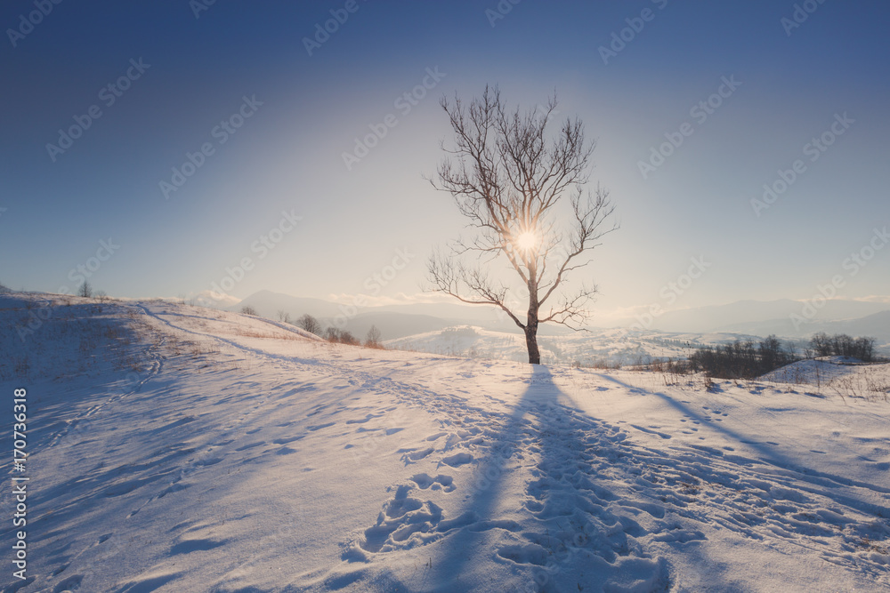 Winter mountain snowy rural sunrise landscape Winter mountain snowy rural sunrise landscape
