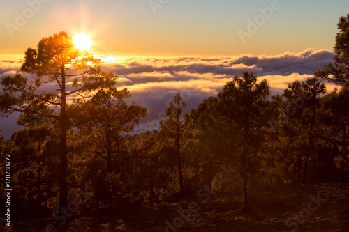 Sunset seen from the forest above clouds