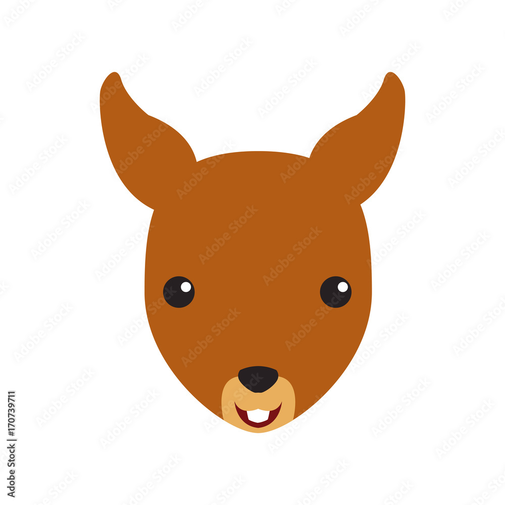 Squirrel animal cartoon icon vector illustration graphic design