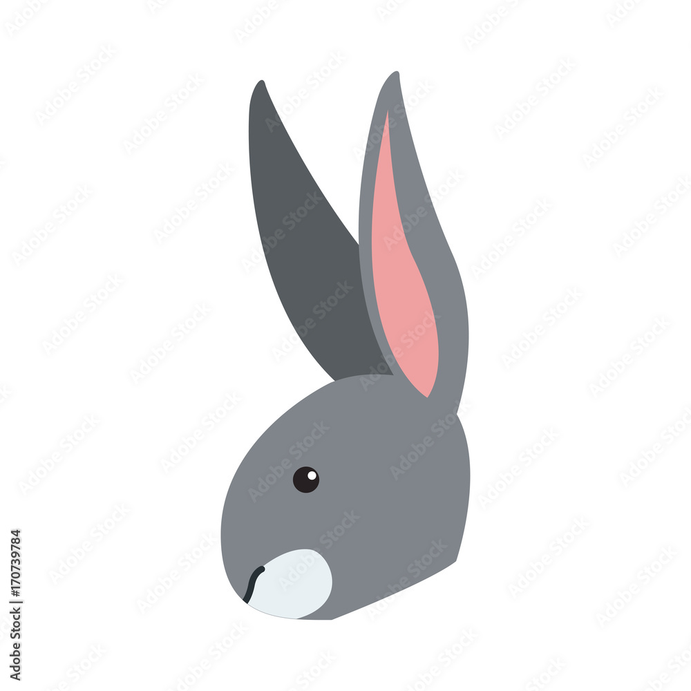 Rabbit animal cartoon icon vector illustration graphic design Rabbit animal cartoon icon vector illustration graphic design