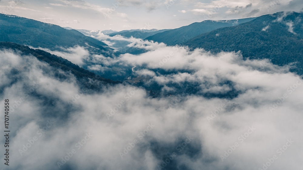 Morning fog above forest in mountains. Aerial view