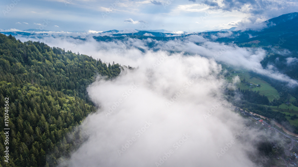 Flying over foggy forest in mountains