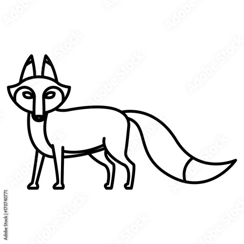 Fox animal cartoon icon vector illustration graphic design