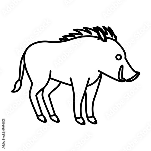 Jabali animal cartoon icon vector illustration graphic design