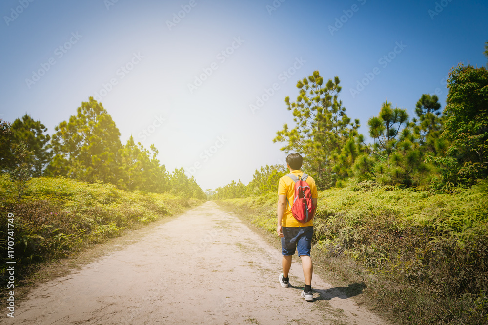 Tourist walking in forest Phu Kradung, Thailand.