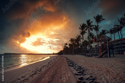 Palm i tropikalnej plaży w Punta Cana, Dominikana