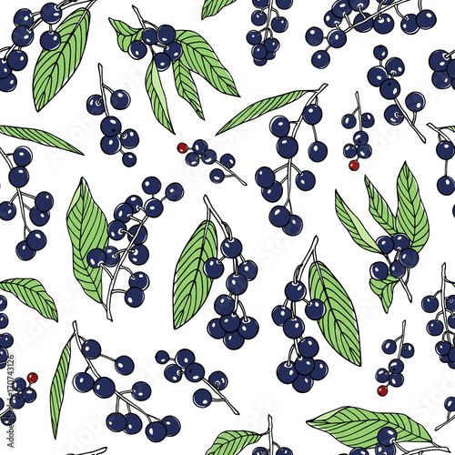 Hand drawn bird cherry pattern