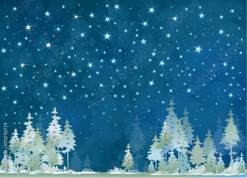 Vector winter night starry sky and  forest background.