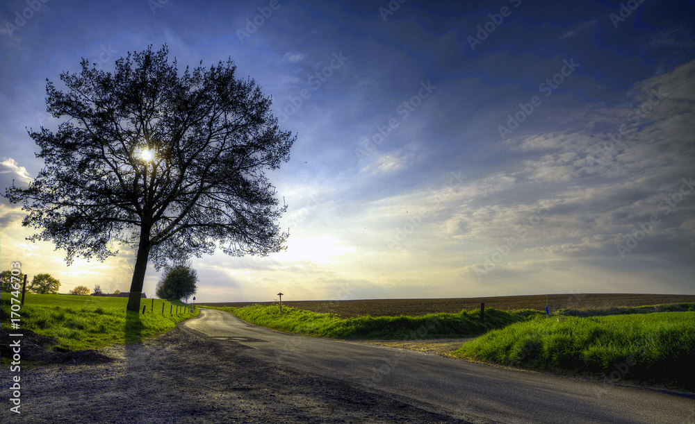 Obraz premium Dutch Sky