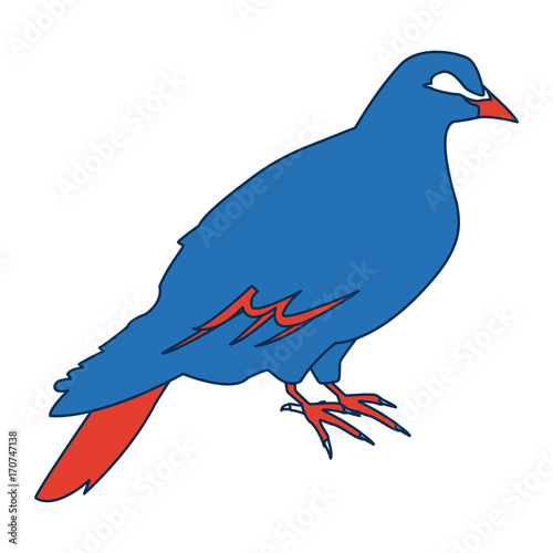 dove of peace nature animal concept icon vector illustration