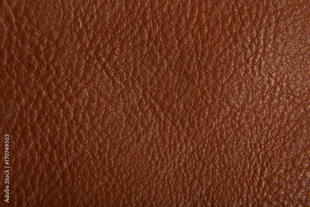 Fototapeta premium Texture of a leather jacket. As close as possible.