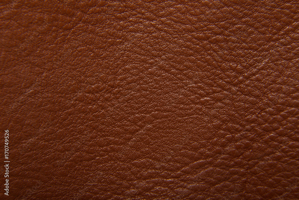 Texture of a leather jacket. A place to copy space, your text. Extremely close-up. Texture of a leather jacket. A place to copy space, your text. Extremely close-up.