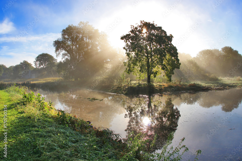 Obraz premium Sunrise and misty morning. Rural landscape with rising sun and rays penetrating through a tree and fog. Beautiful nature background.