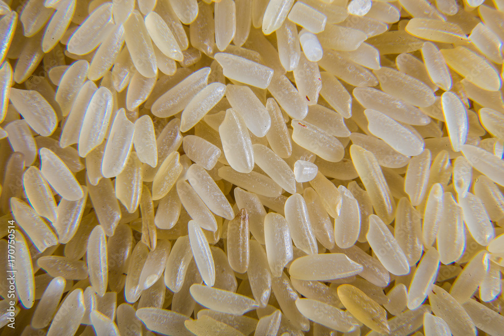 Extremely close-up. Rake of rice.