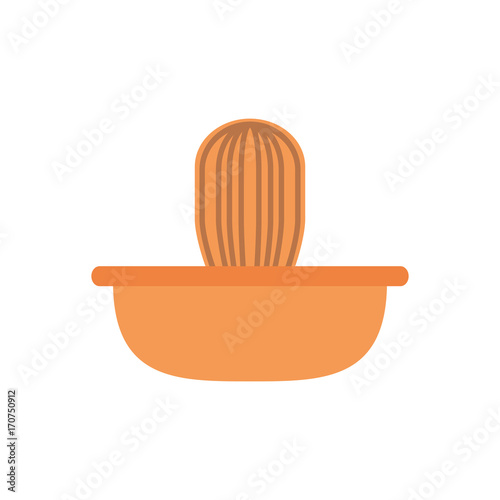 colorful squeezer  over white  background  vector illustration