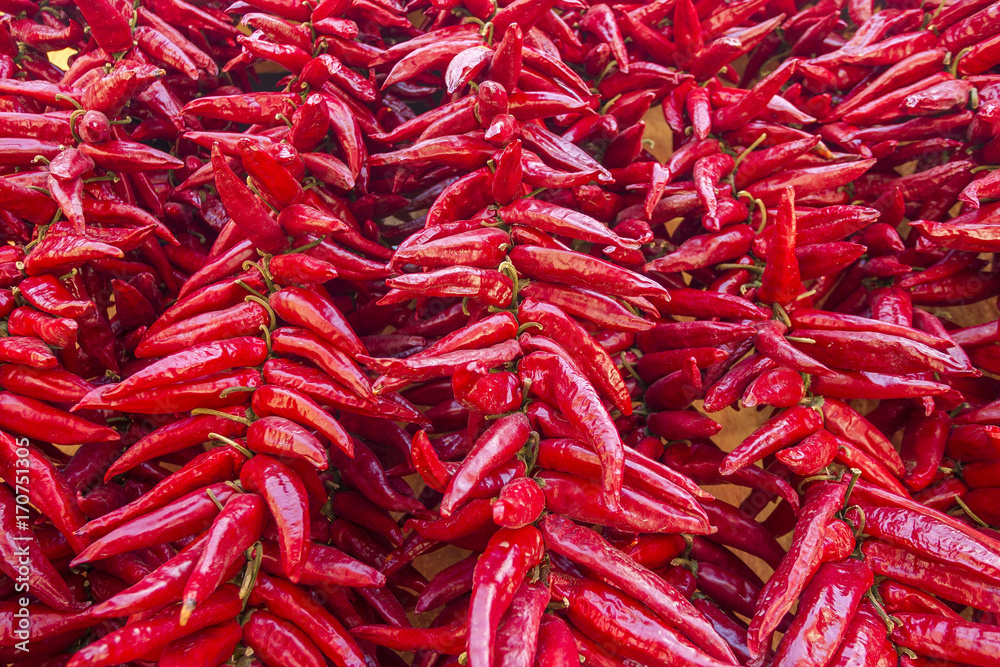 Naklejka premium pepper hang on wall