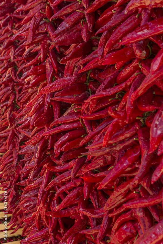 Fototapeta premium pepper hang on wall