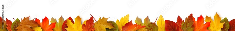 Bunte Herbstblätter - Bordüre Banner