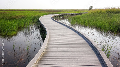 Obraz na płótnie Boardwalk Through Marsh in Sabine National Wildlife Refuge in Louisiana