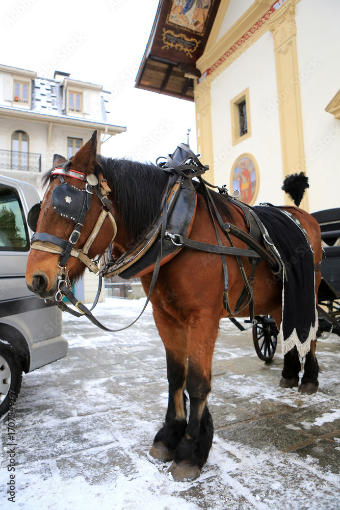 Calèche funèbre. Corbillard. Eglise Saint-Gervais et Saint-Protais. Saint-Gervais-les-Bains. / Funeral carriage. Hearse. Church of St. Gervais and St. Protais. Saint-Gervais-les-Bains. .. Calèche funèbre. Corbillard. Eglise Saint-Gervais et Saint-Protais. Saint-Gervais-les-Bains. / Funeral carriage. Hearse. Church of St. Gervais and St. Protais. Saint-Gervais-les-Bains. ..