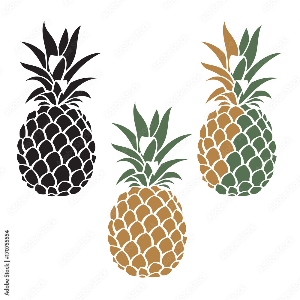 collection of pineapple tropical fruit images collection of pineapple tropical fruit images