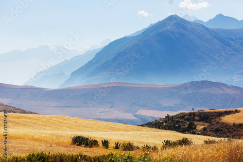 Peruvian pampa © Galyna Andrushko