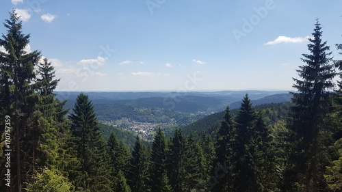 Blick über den Thüringer Wald