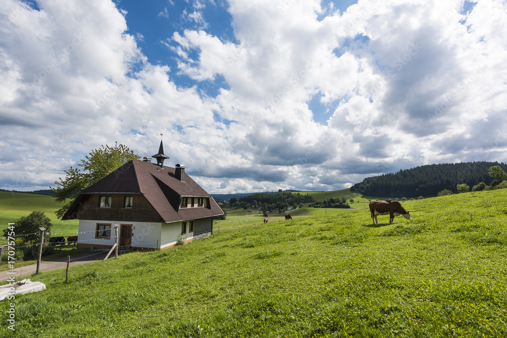 Typical Bavarian farm with pasture for cows, Germany Typical Bavarian farm with pasture for cows, Germany