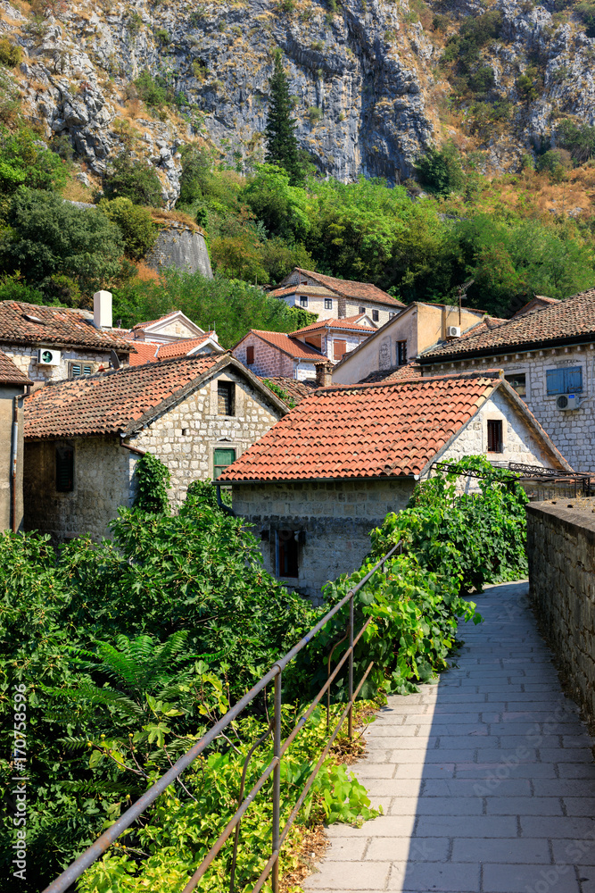 Rooftops of the old houses in historical center of Kotor, Montenegro Rooftops of the old houses in historical center of Kotor, Montenegro