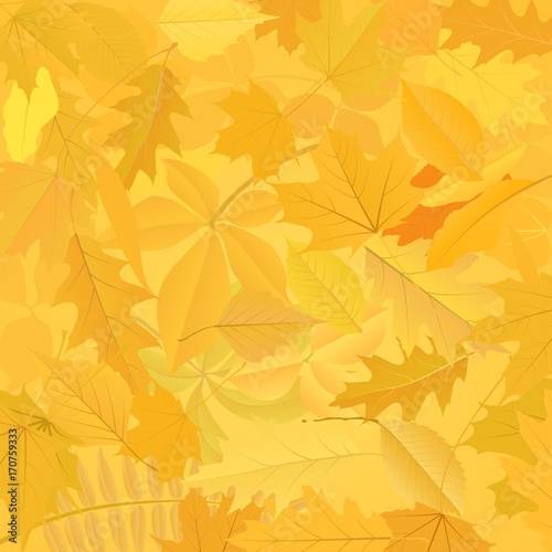 background with autumn leaves