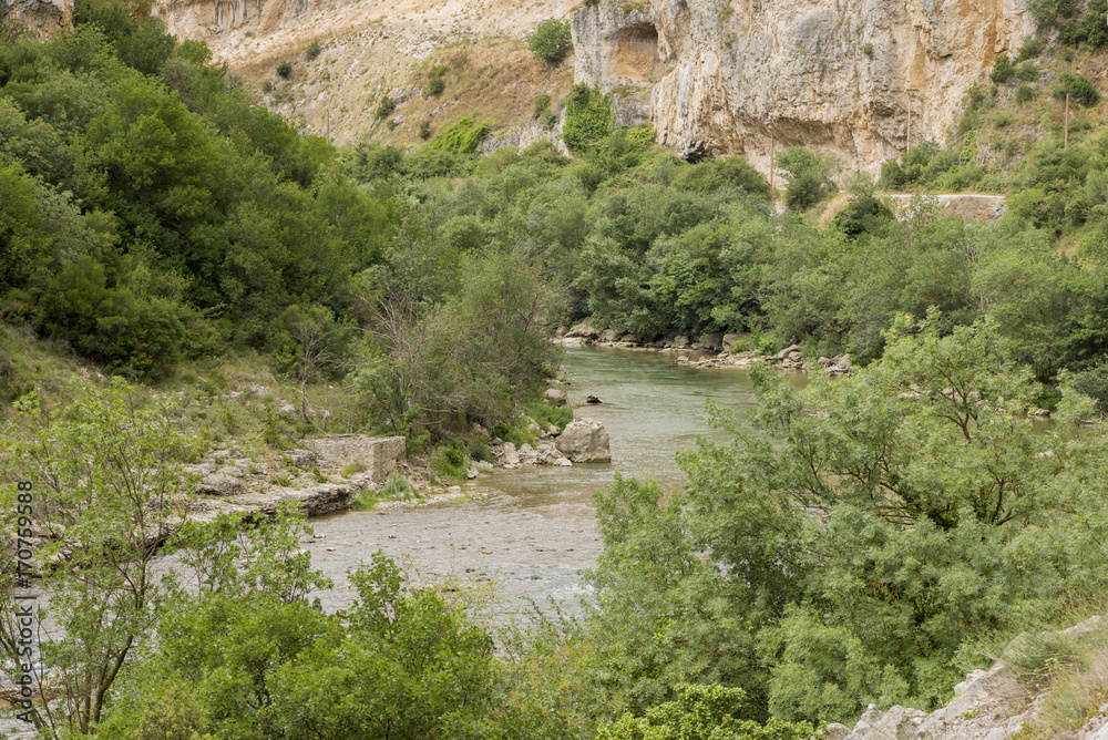 Fototapeta premium Greenway of irati in the mouth of lumbier, Navarra