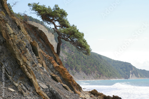 On the way to the rock 