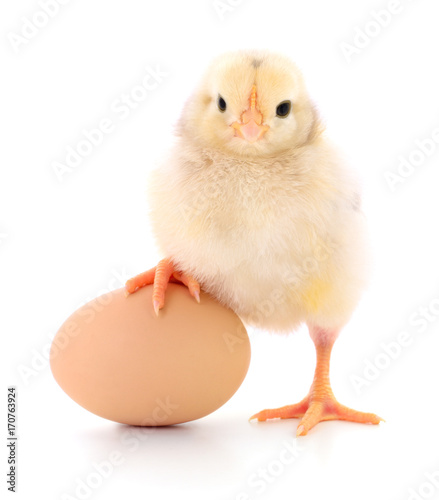 Chicken and egg.