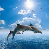 Dolphins jumping out of blue sea, seagulls fly high in blue sky