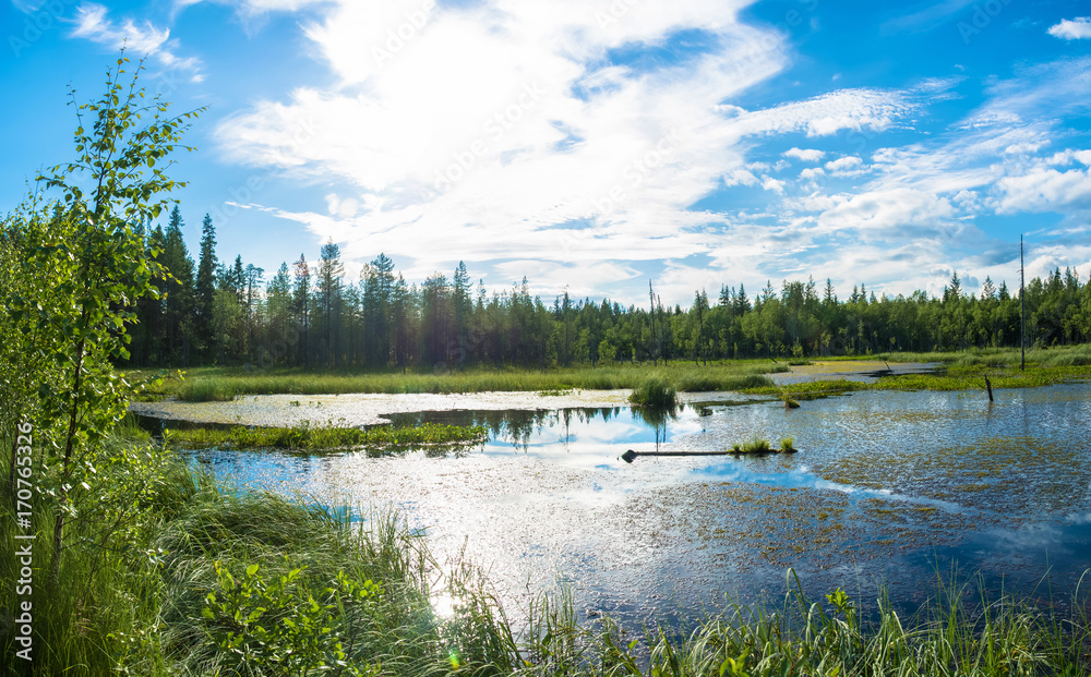 Fototapeta premium A small wetland lake in Karelia.
