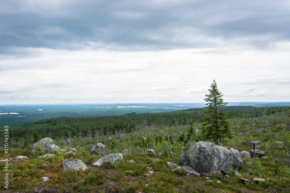 View from mountain  Vottovaara, Karelia.