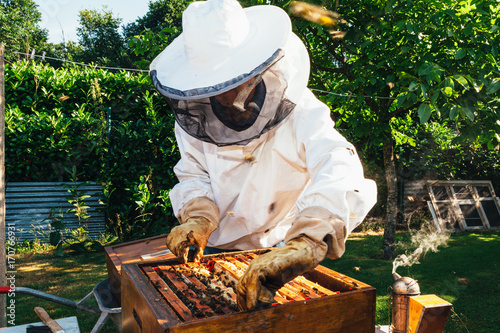 honey production and bees keeping © Carlo