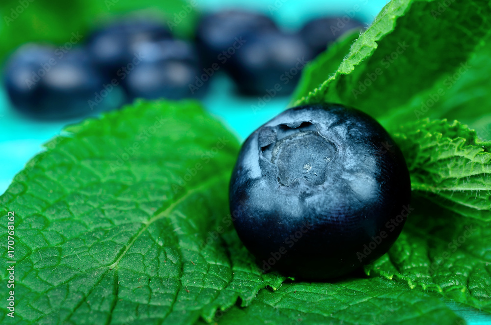 blueberry on table blueberry on table