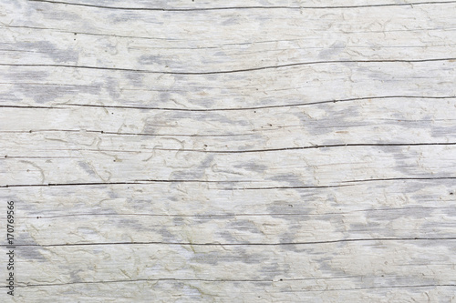 Vintage white wooden texture with cracks