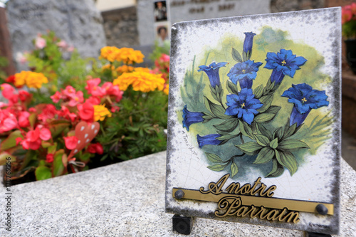 Plaque commémorative. Bleuets. Cimetière. / Commemorative plaque. Blueberries. Graveyard. photo