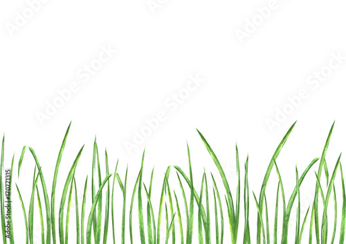 Watercolor green grass
