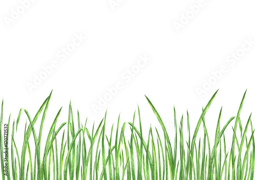 Watercolor green grass