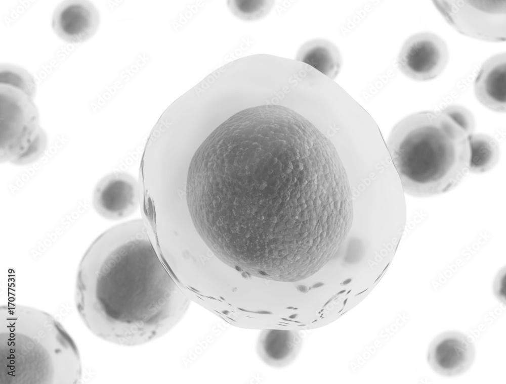3d Cell Vector 3d rendered illustration of human cells Stock Illustration | Adobe Stock
